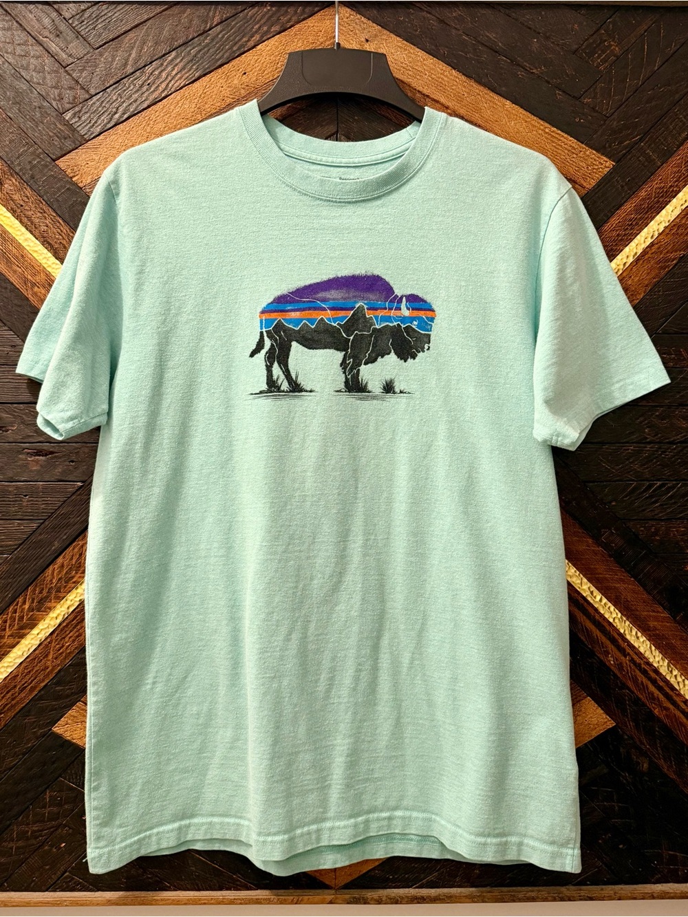Patagonia Bison Regular Fit T-Shirt